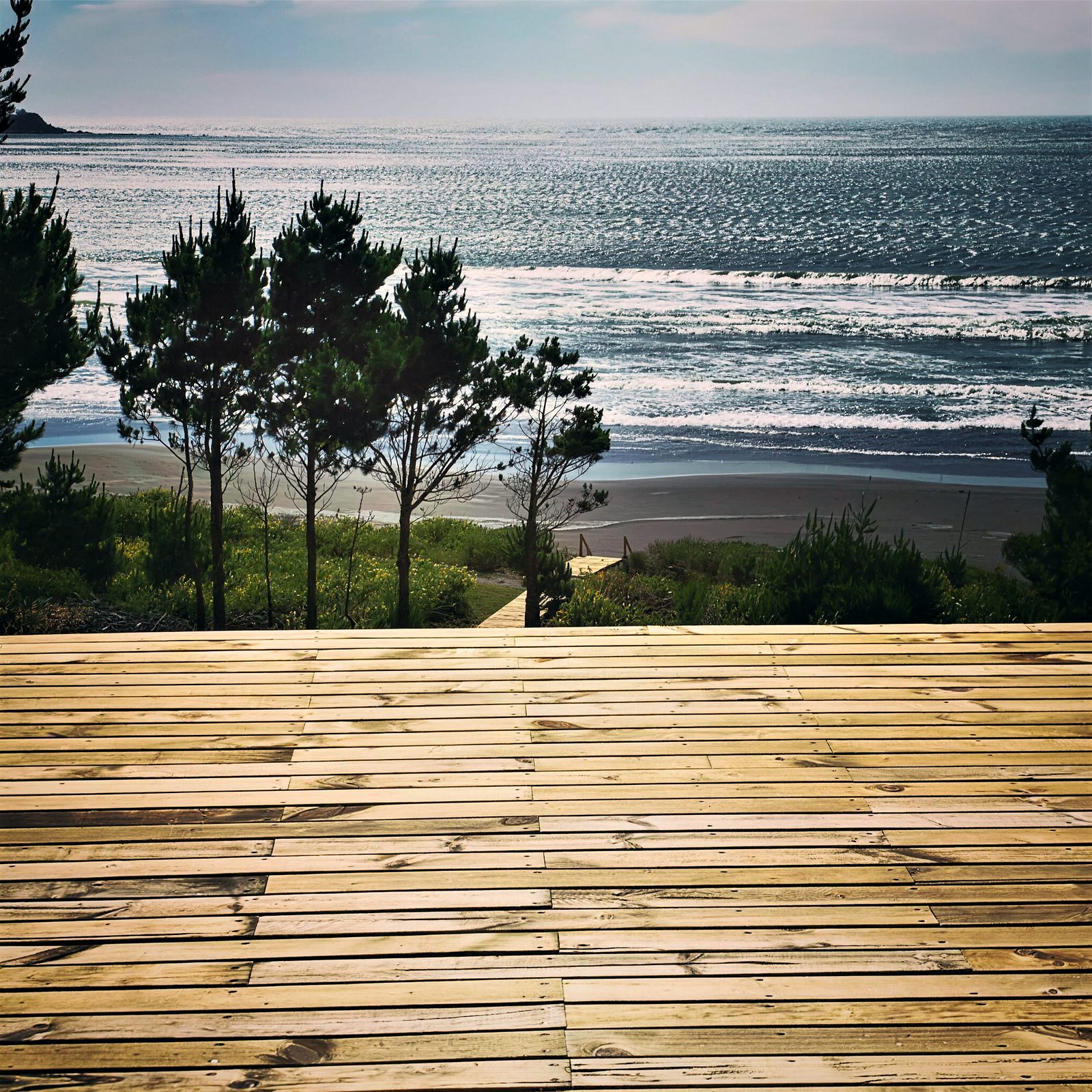A wooden deck among pine trees overlooking the beach and the sea on the Queule coast